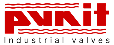 Punit Valves Logo