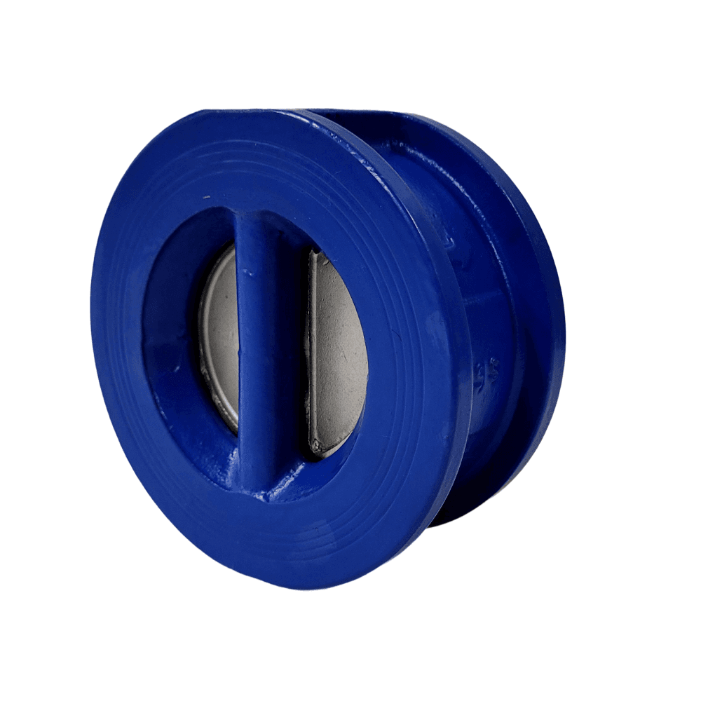 Dual Plate Check Valve