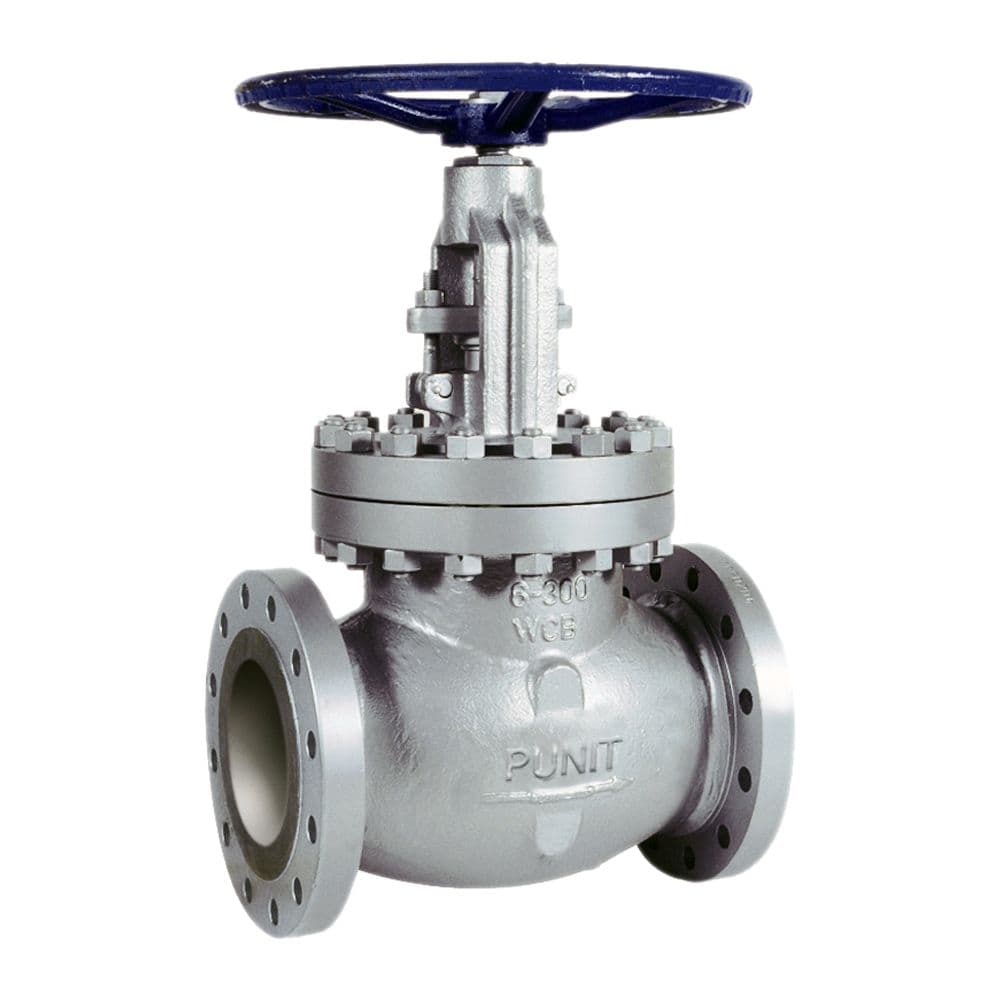 Globe Valve Flange End (Class 150)